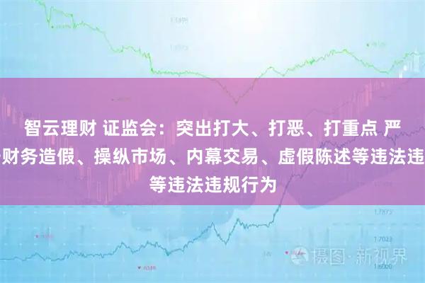 智云理财 证监会:突出打大、打恶、打重点 严厉打击财务造假、操纵市场、内幕交易、虚假陈述等违法违规行为
